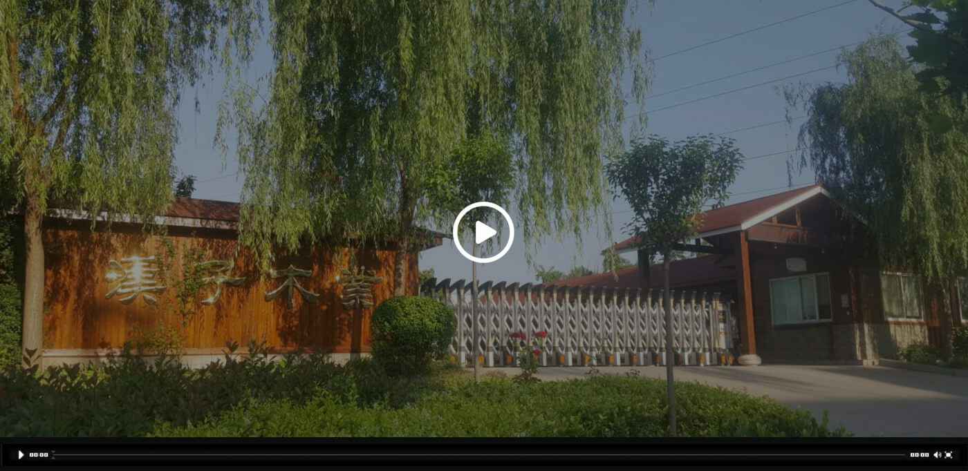 开云网页版登录入口-开云中国